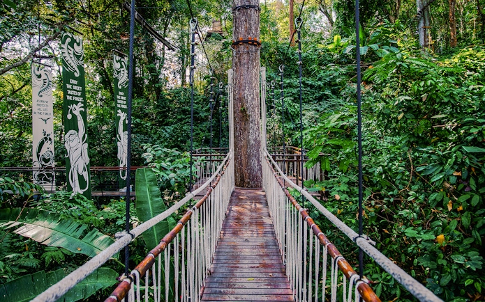 Skywalk at Hanuman World surrounded by lush forest vegetation.