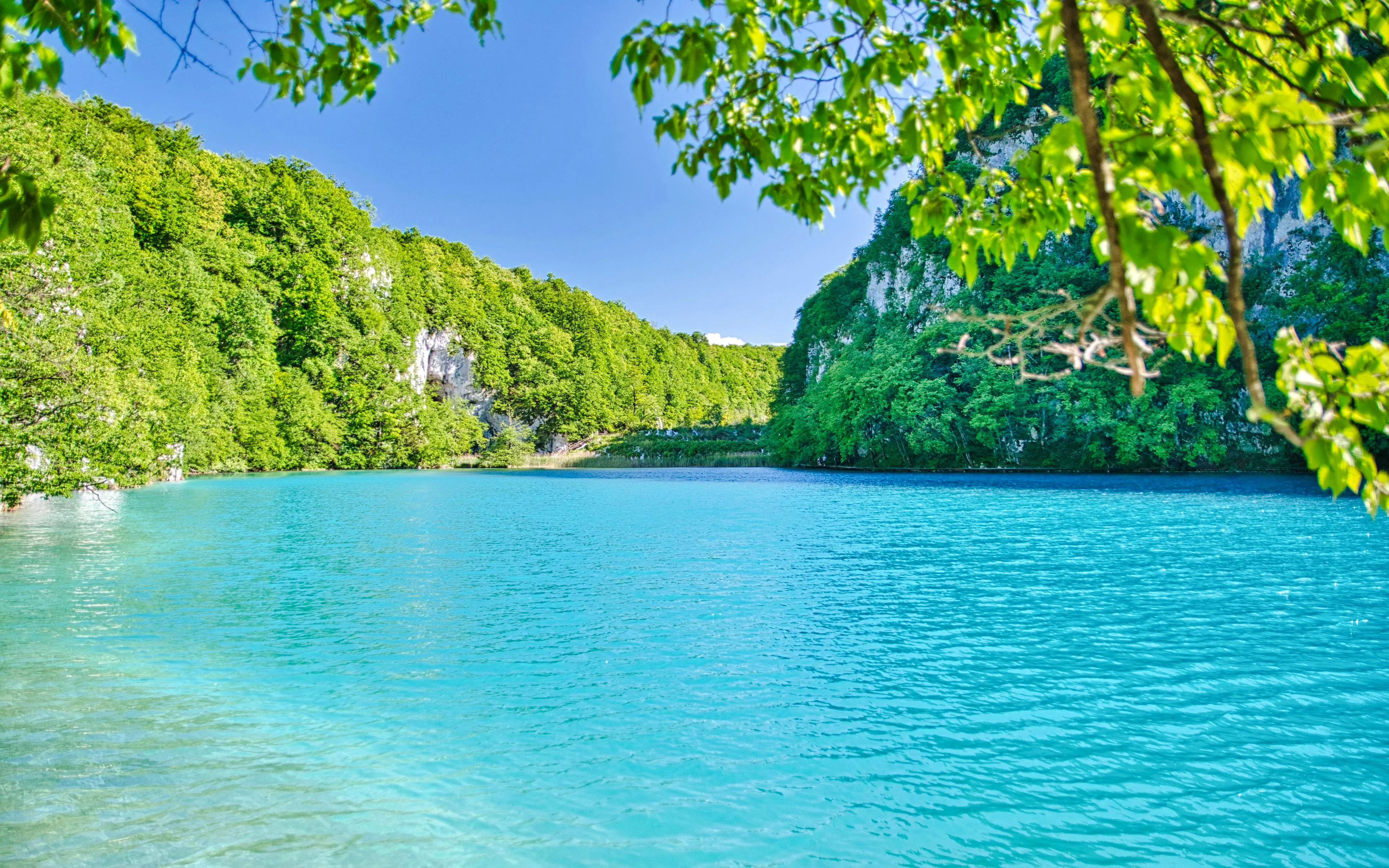 Plitvice Lakes turquoise water surrounded by lush green forest.