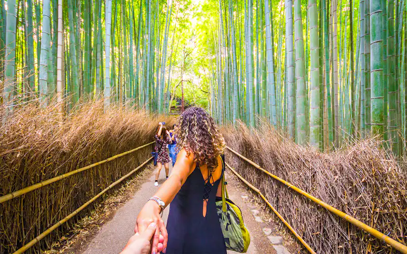 bamboo forests of Arashiyama