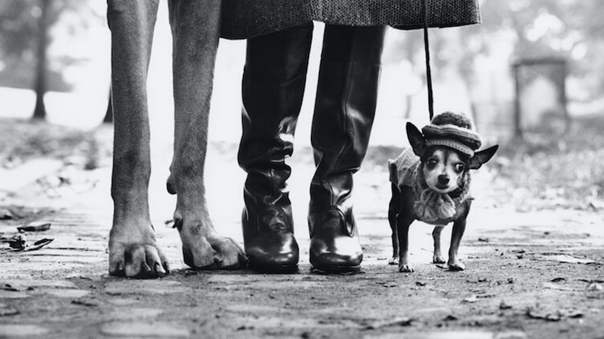 Elliott Erwitt Exhibition at Villa Bardini