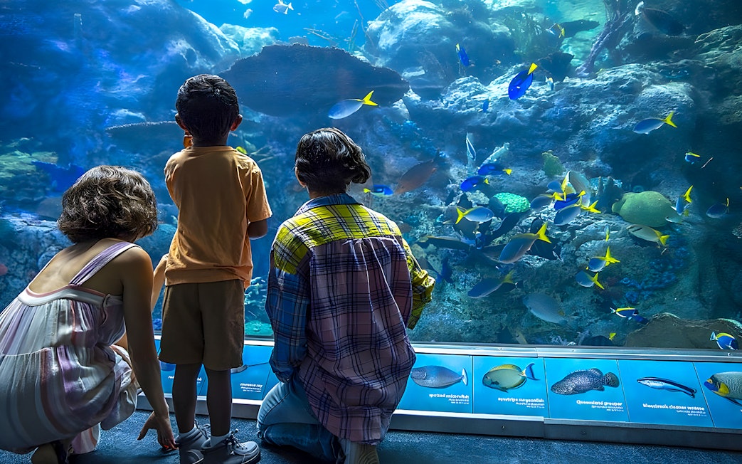 Visitors observing colorful fish at Aquarium of the Pacific exhibit.