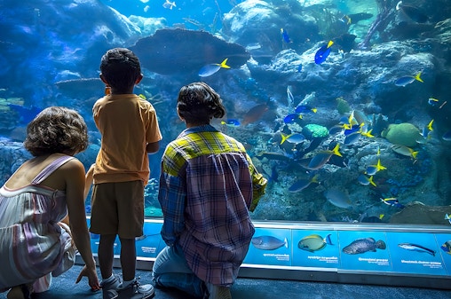 Aquarium of the Pacific Skip-the-Line Tickets