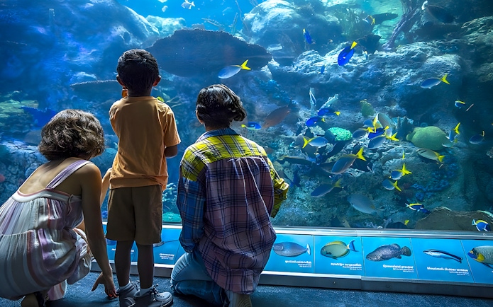 Visitors observing colorful fish at Aquarium of the Pacific exhibit.