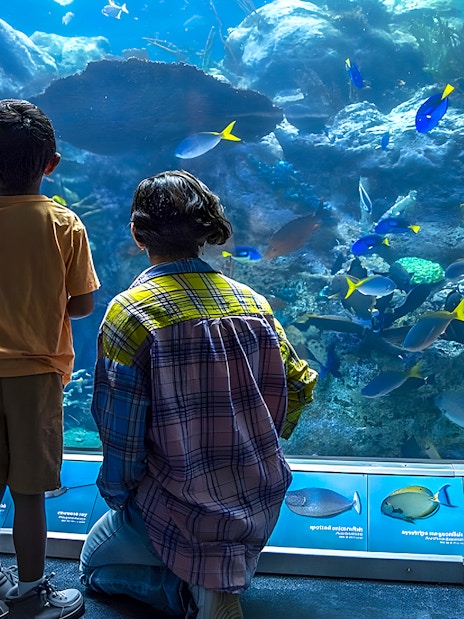 Visitors observing colorful fish at Aquarium of the Pacific exhibit.