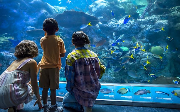 Visitors observing colorful fish at Aquarium of the Pacific exhibit.