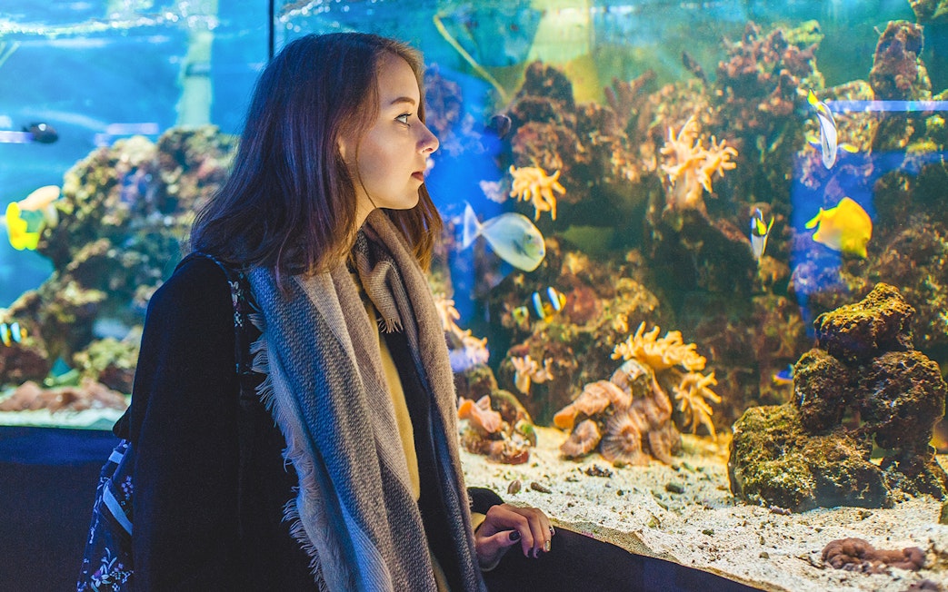 Visitor observing marine life at New York Aquarium.
