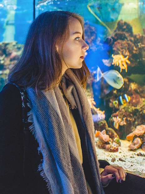 Visitor observing marine life at New York Aquarium.