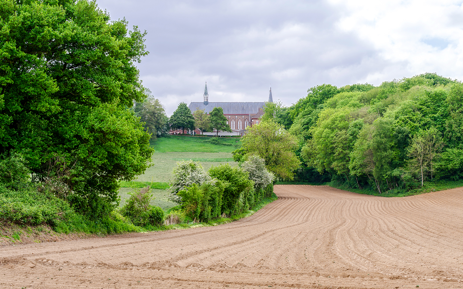 Distant view of a church surrounded by lush greenery in Parc du Mont.