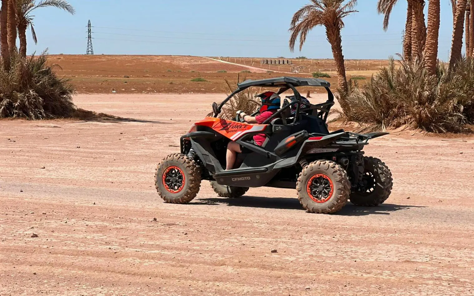 From Marrakech: Tour Buggy 1000cc in Palm Oasis
