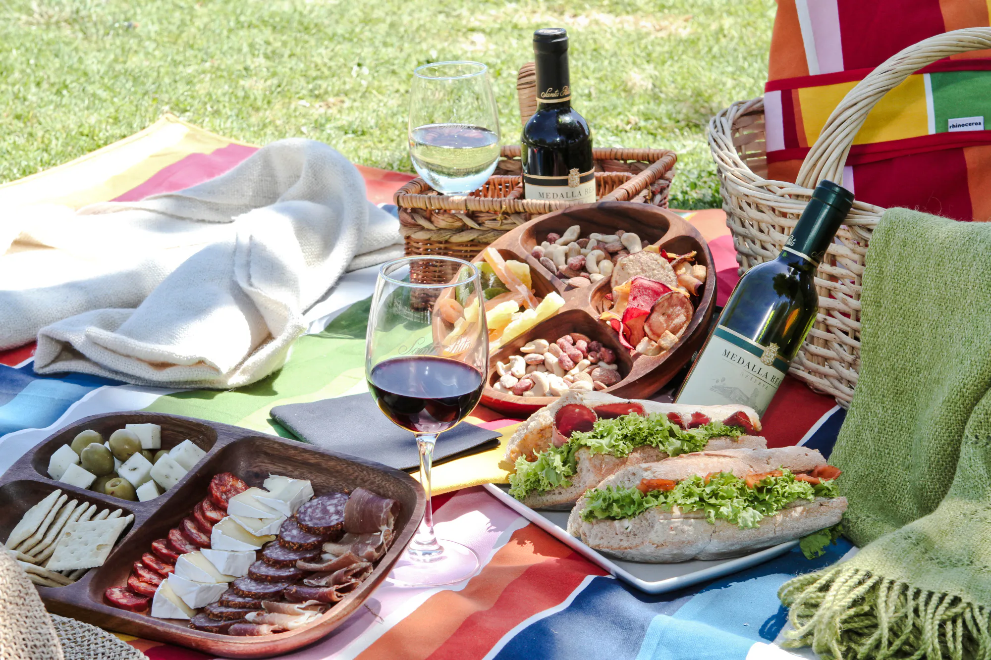 Picnic setup with wine, sandwiches, cheese, and snacks at Santa Rita Vineyard, Santiago.