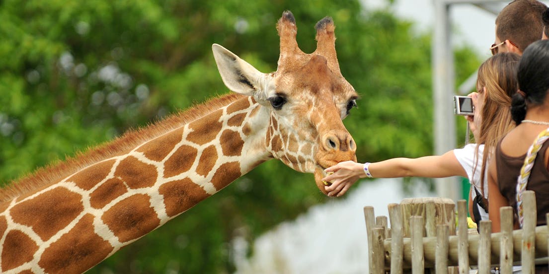 Loire Valley Zoo & Aquarium Tickets