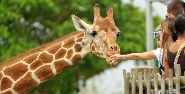 Billets pour le Zoo et l'Aquarium de la Loire