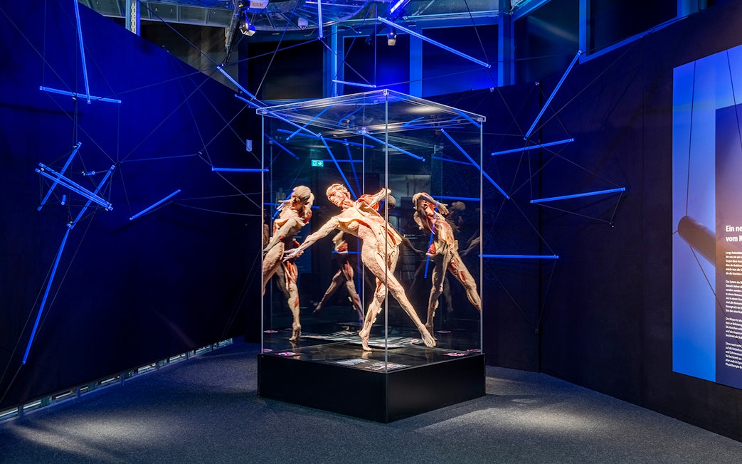 BODY WORLDS exhibit with anatomical figures in Berlin museum.