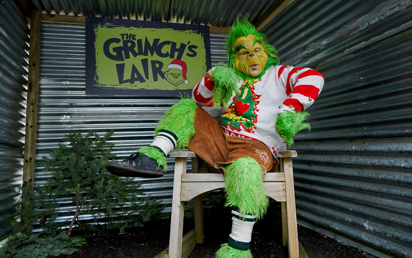 Man in a Grinch costume sitting in a themed lair with festive decor.
