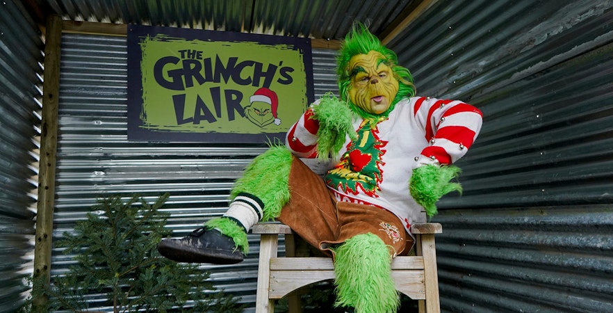 Man in a Grinch costume sitting in a themed lair with festive decor.