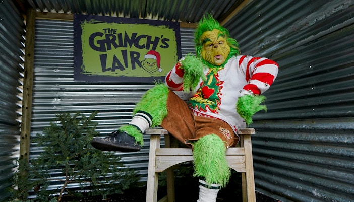 Man in a Grinch costume sitting in a themed lair with festive decor.