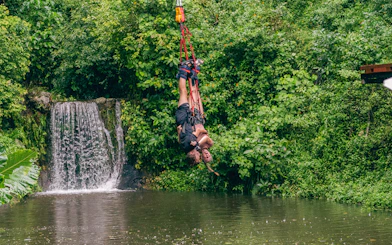 Bungy jumper over lush greenery and waterfall in Cairns, Australia.