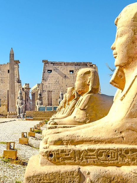 Row of sphinxes leading to the Temple of Luxor, Egypt.