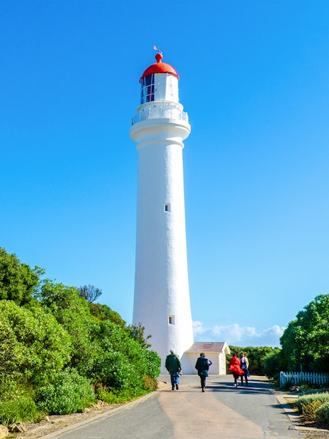 People walking on a path towards Split Point Lighthouse surrounded by greenery.