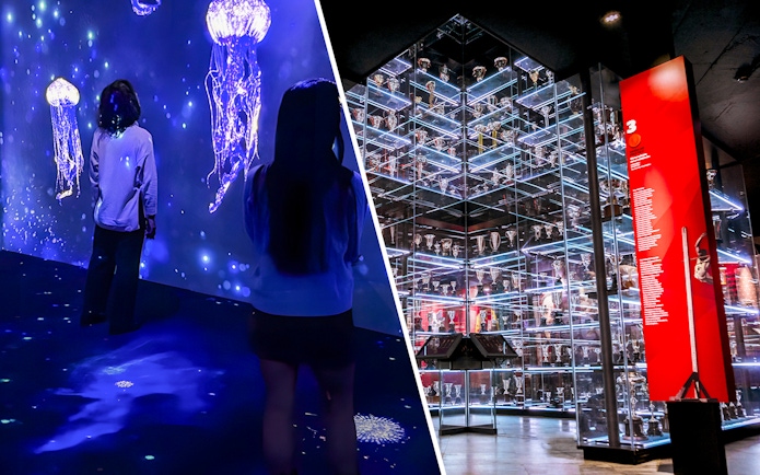 Lisbon Oceanário jellyfish display and SL Benfica Museum trophy room.