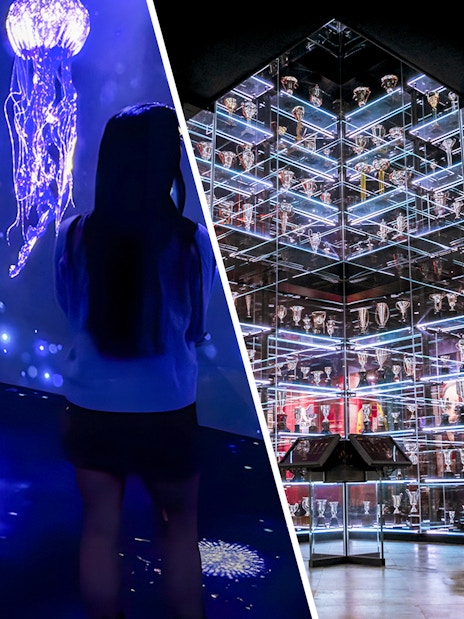 Lisbon Oceanário jellyfish display and SL Benfica Museum trophy room.