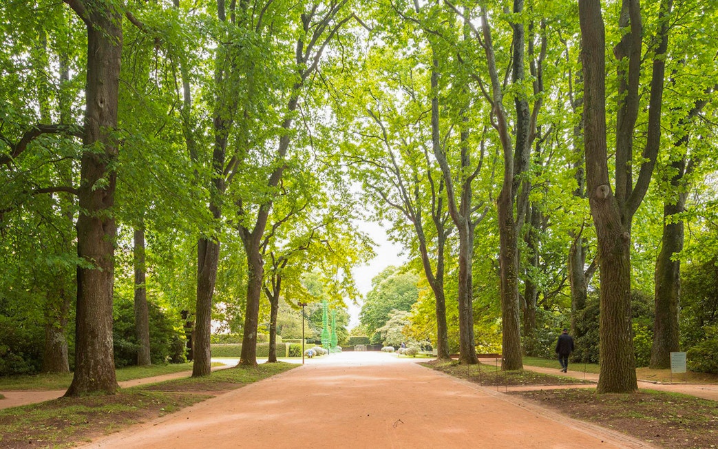 Tree-lined path in Serralves Park, Porto, Portugal.