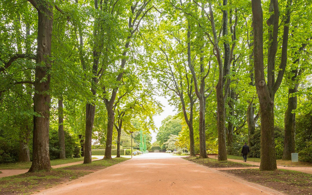 Tree-lined path in Serralves Park, Porto, Portugal.