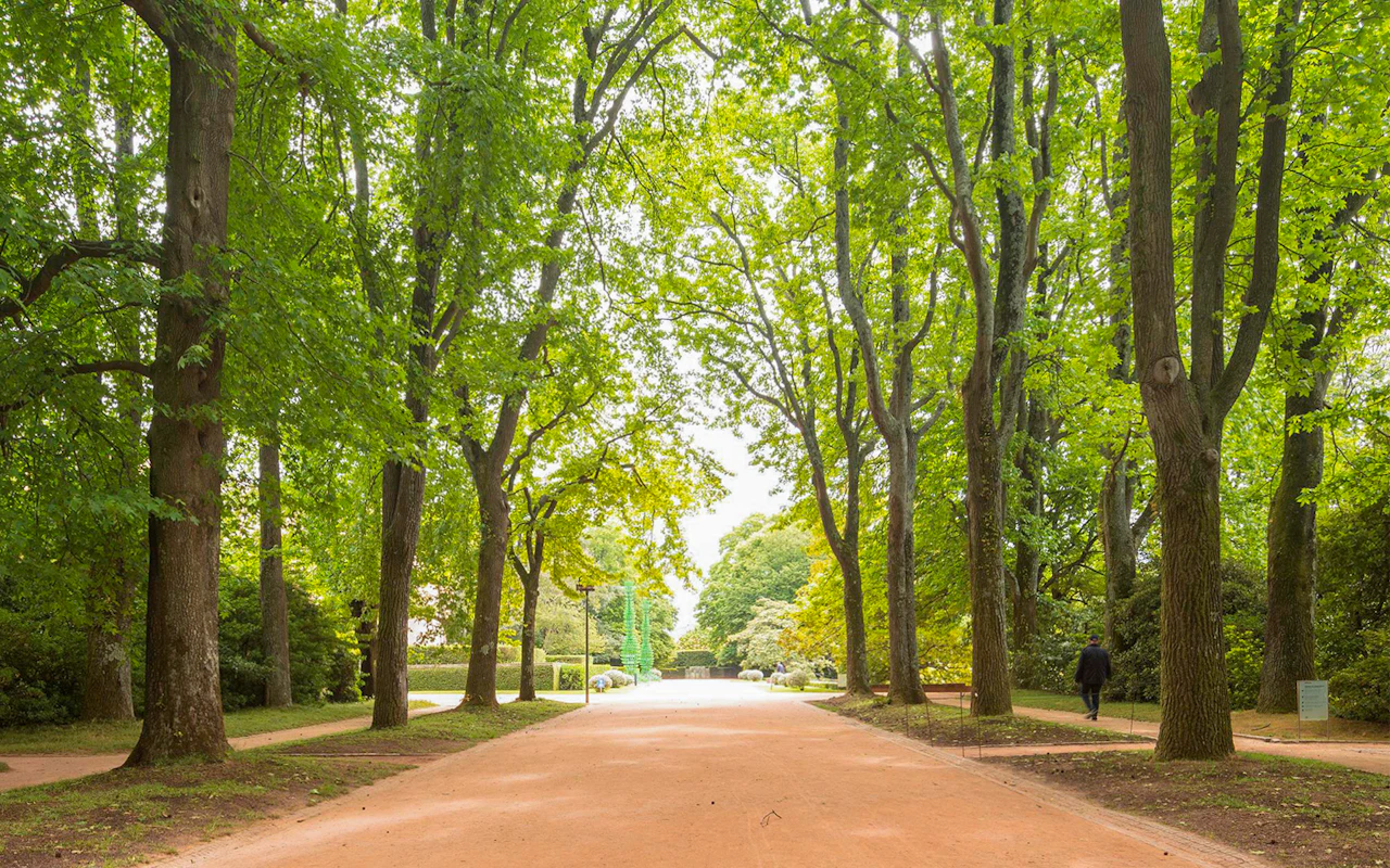 Combo: Biglietti per la Fondazione Serralves + Tour della Valle del Douro — 4