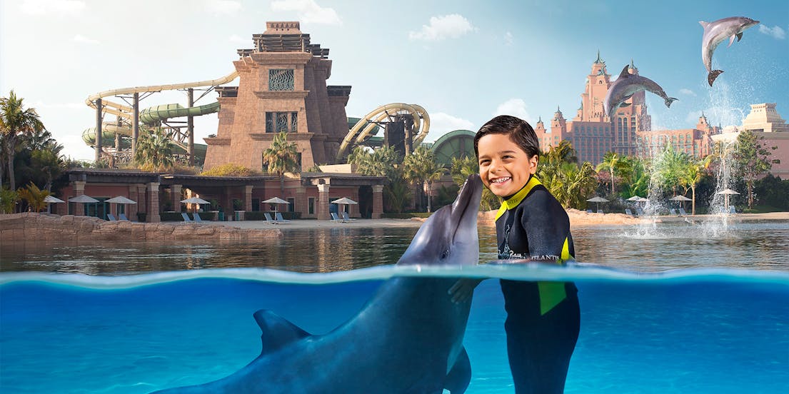 Dolphin Bay Tickets