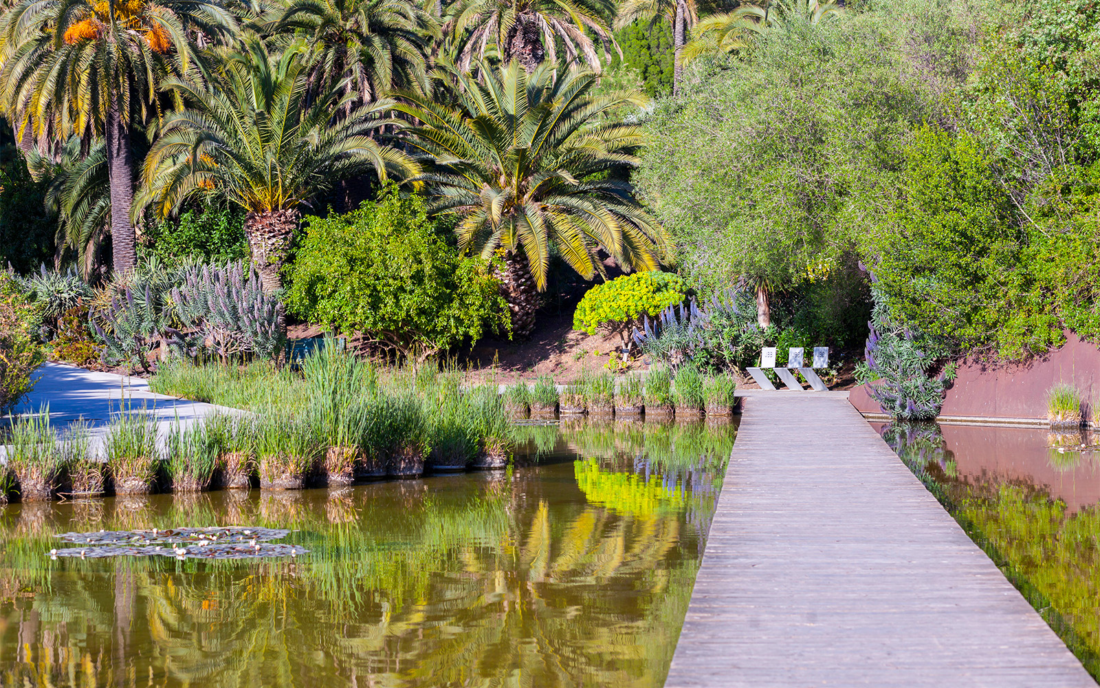 Botanical Garden Barcelona