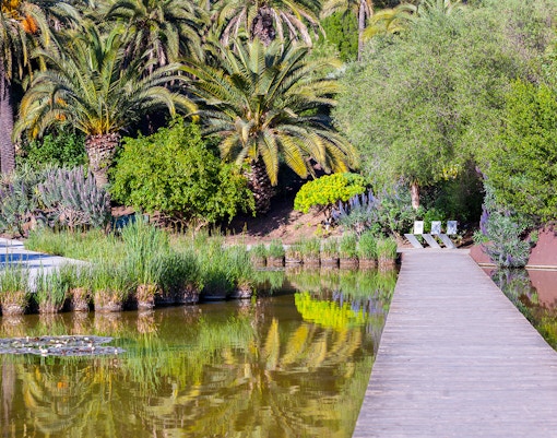 Barcelona Botanical Garden with diverse plant species and scenic pathways.
