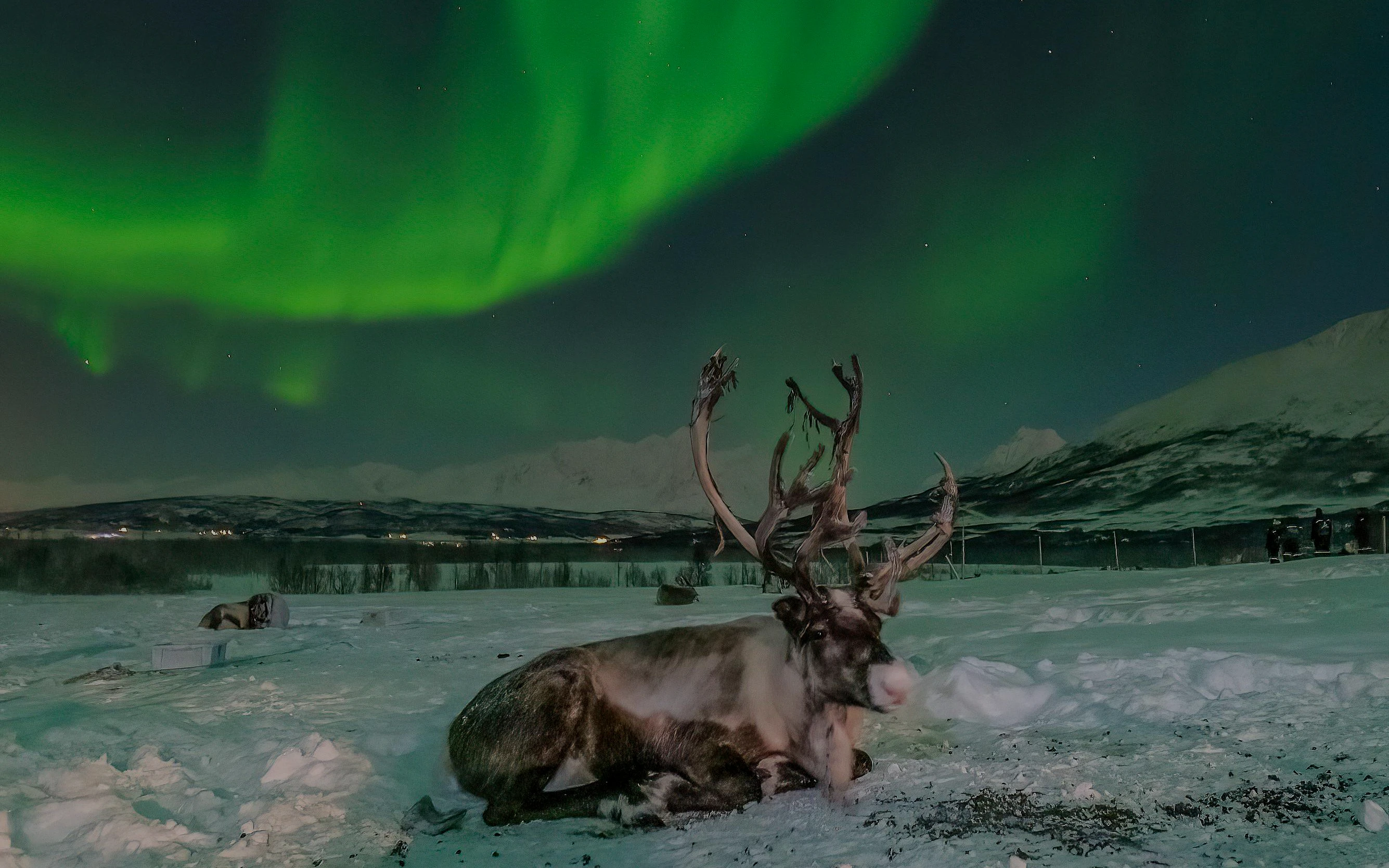 The Arctic sky
