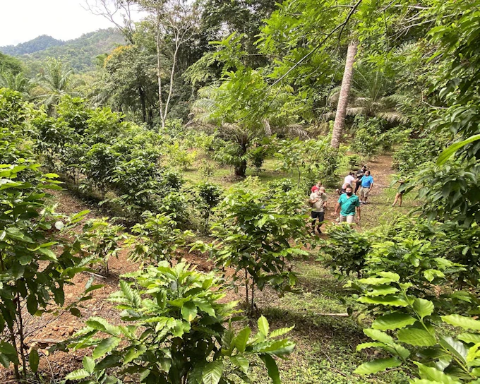 Coffee, Cacao, and Vanilla Organic Farm Tour with Animal Encounters and Farm-to-Table Lunch (Product 53566)