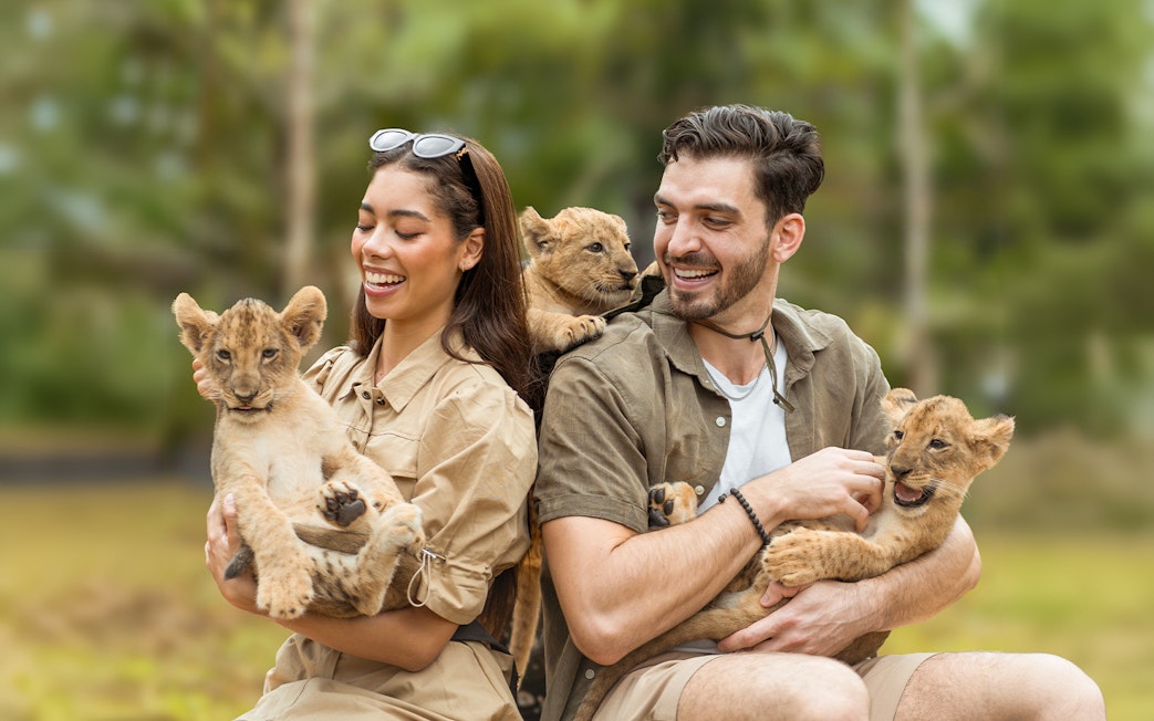 Visitors holding lion cubs at Lion Land Phuket.