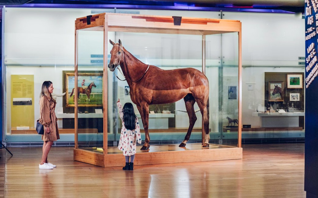 Horse exhibit at Melbourne Museum with visitors observing.