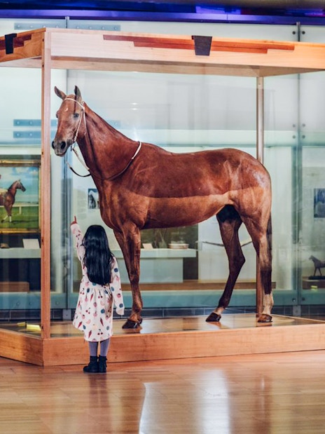 Horse exhibit at Melbourne Museum with visitors observing.