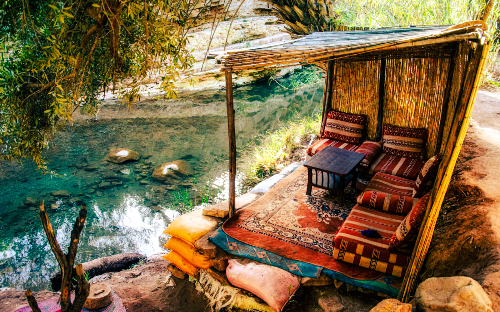 From Taghazout: Paradise Valley Tour Image 2
