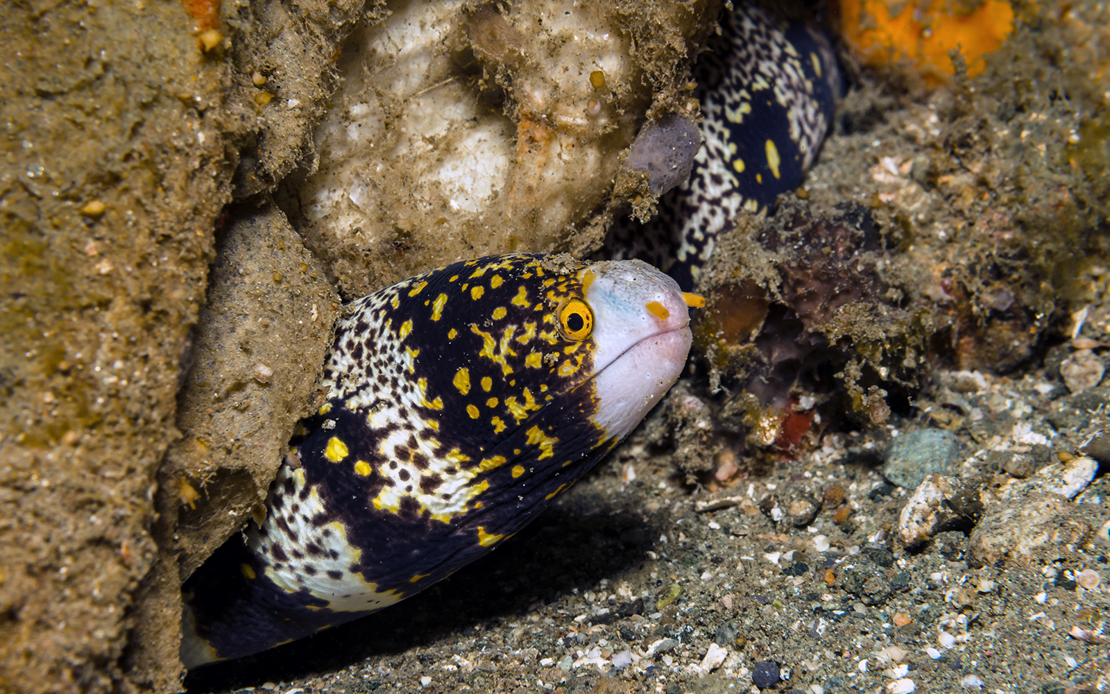 Langkawi Underwater World