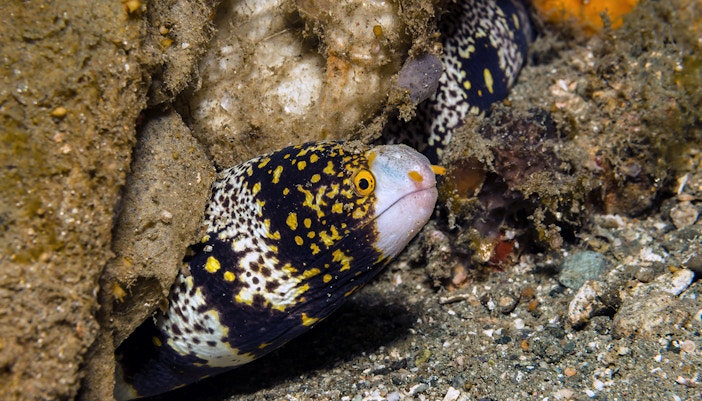 Langkawi Underwater World