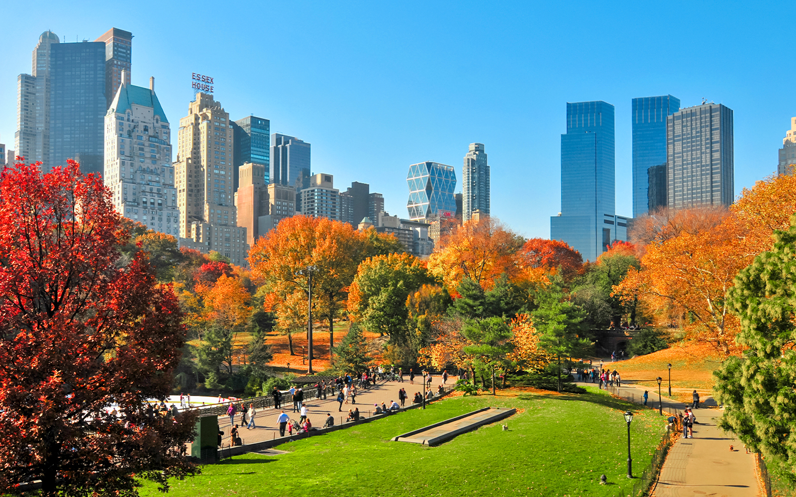 Central Park in autumn with colorful trees and New York City skyline in the background.
