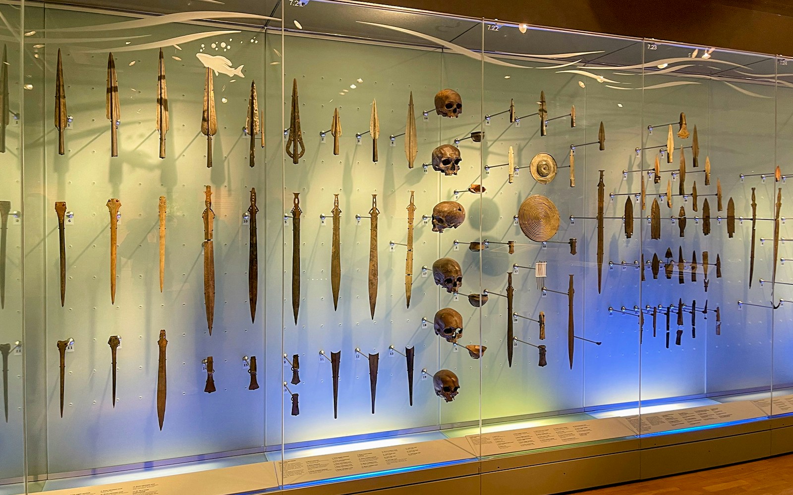Ancient weapons and skulls display at the British Museum, London.
