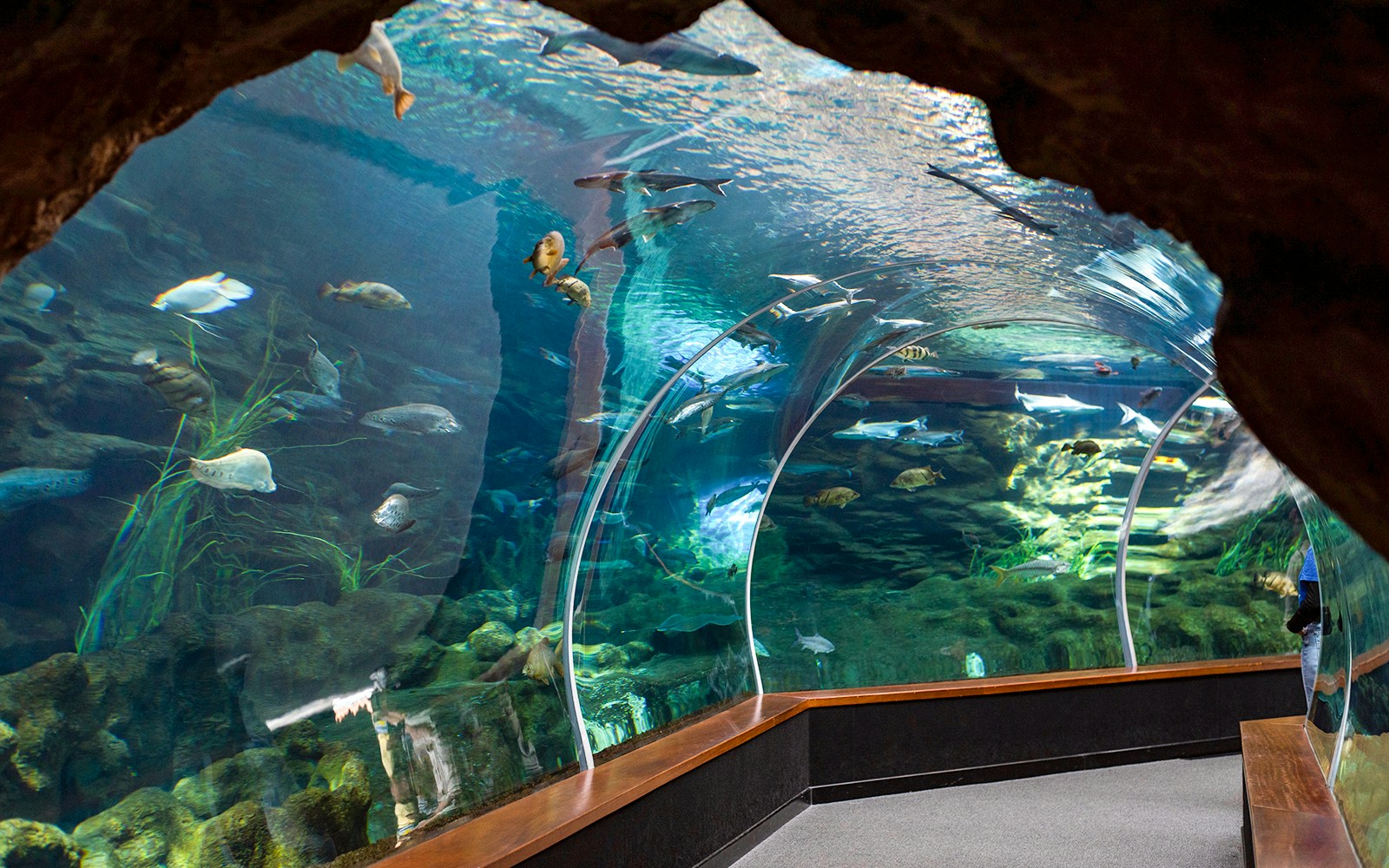 Poema del Mar Aquarium in Las Palmas, capital of Gran Canaria, Canary Islands, Spain