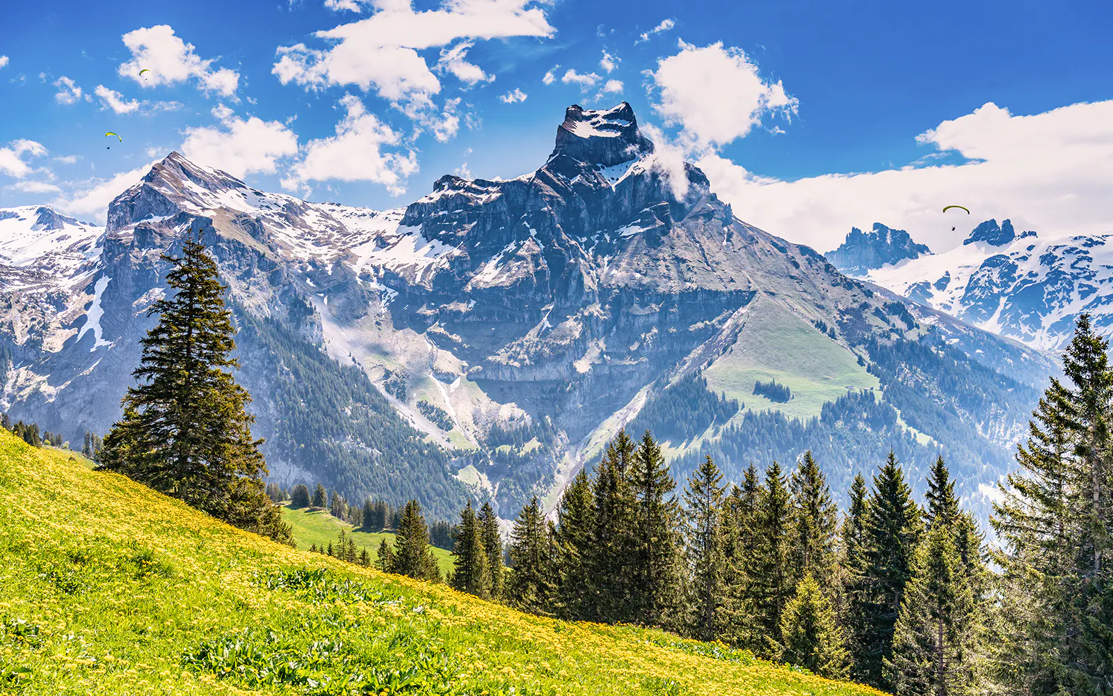 Panoramic view of Mount Titlis with snow-capped peaks and green meadows.
