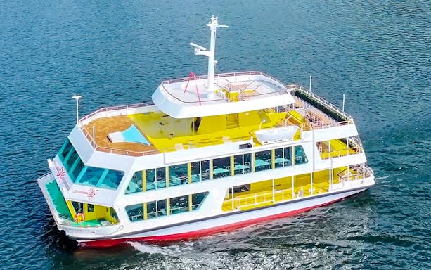 Aerial view of Hakone Sightseeing Cruise ship on Lake Ashi, Japan.