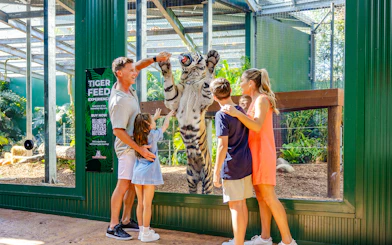 Family feeding a tiger at Tiger Island, Dreamworld, Gold Coast.