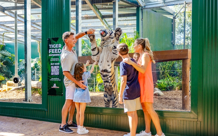 Family feeding a tiger at Tiger Island, Dreamworld, Gold Coast.