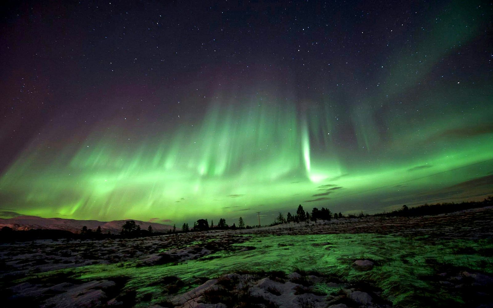 Northern Lights illuminating the night sky over a snowy landscape in Tromso.