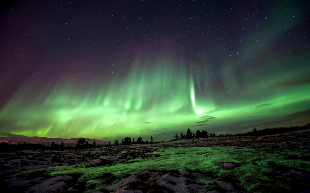 Northern Lights illuminating the night sky over a snowy landscape in Tromso.