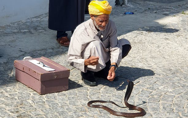 Snake charmer performing in Tangier during a day trip from Seville.