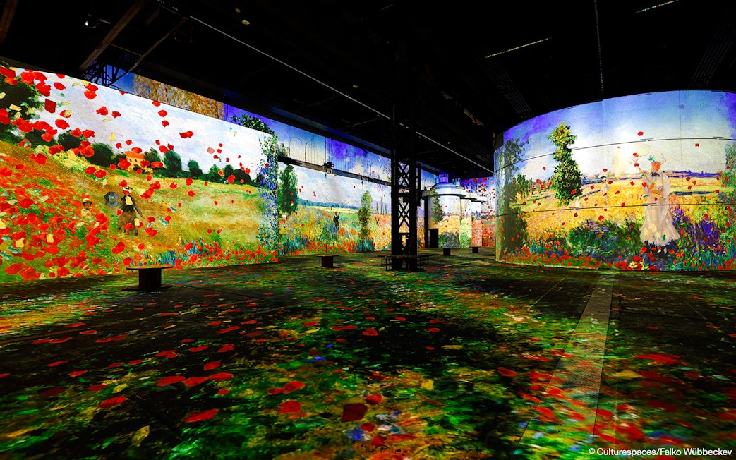 Immersive art installation at Phoenix des Lumières featuring vibrant field projections.